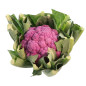 CHOU FLEUR VIOLET 6PCS